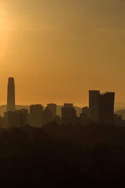 Inversiones Seguras para Principiantes en México 2025: ¡Empieza Hoy!