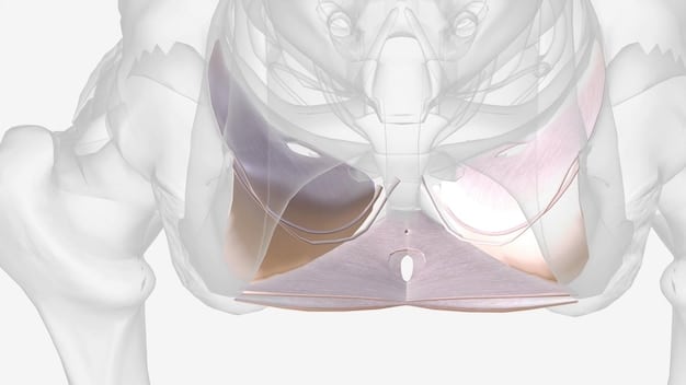 A close-up illustration showing the diaphragm muscle engaged during deep breathing. Arrows indicate the expansion of the chest and abdomen as air is drawn in. The diagram includes labels in Spanish, explaining the key parts of the respiratory system involved.