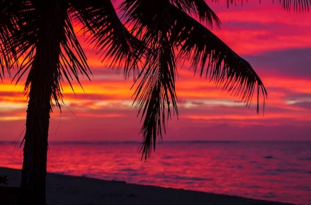 A beautiful sunset at a beach in Mexico, with vibrant colors reflecting on the water and a silhouette of palm trees in the foreground.
