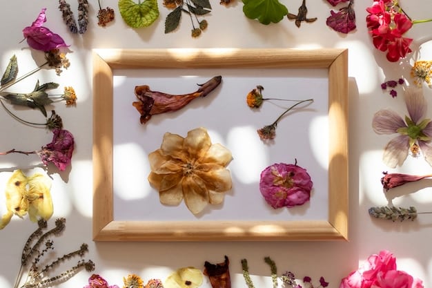 Crea Bellos Cuadros Decorativos con Flores Secas y Hojas Prensadas