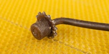 Aprende a Impermeabilizar tus Zapatos de Piel con Cera de Abeja y Protégete de la Lluvia - Cover Image