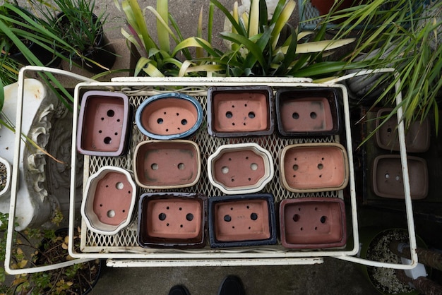 A variety of plant pots, including terracotta, plastic, and ceramic, each with different drainage holes. The focus is on the importance of proper drainage for healthy plant growth.