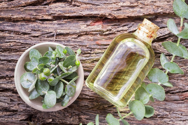 Close-up of various essential oil bottles (lavender, eucalyptus, peppermint, lemon, sandalwood) arranged on a wooden surface, with a soft, natural light and a blurred background.